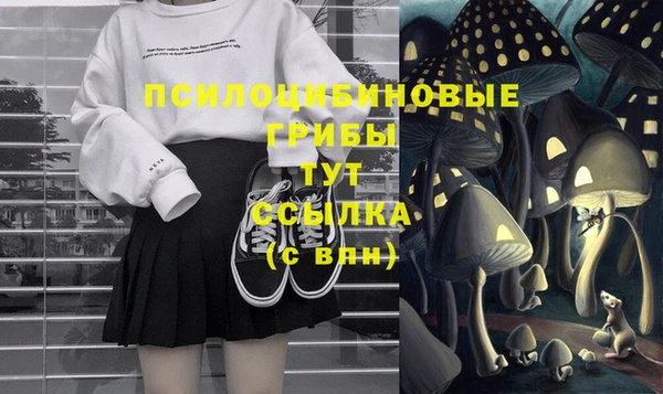 бошки Балахна