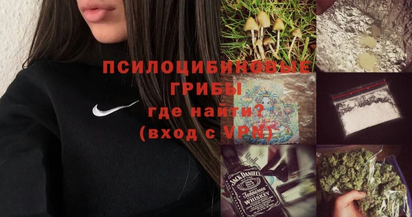 индика Армянск