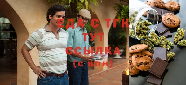 индика Армянск