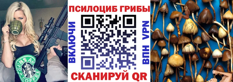 Галлюциногенные грибы Psilocybe  Урюпинск 